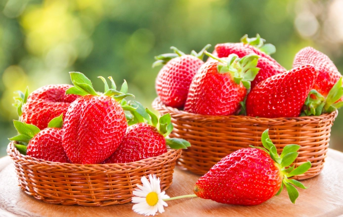 苗栗採草莓 苗栗採草莓