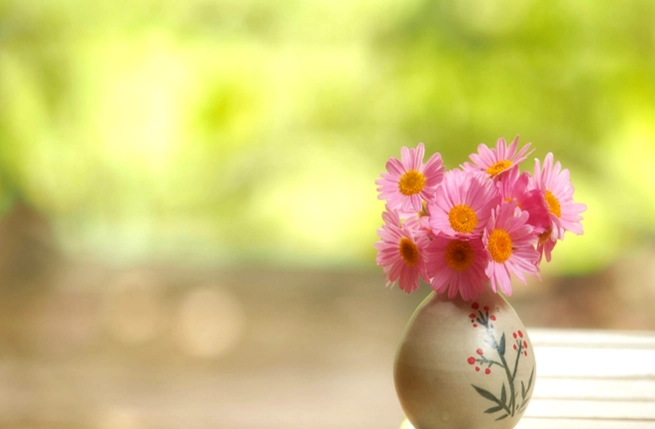 代表祝福的花 代表祝福的花