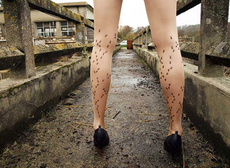 夢到螞蟻爬身上