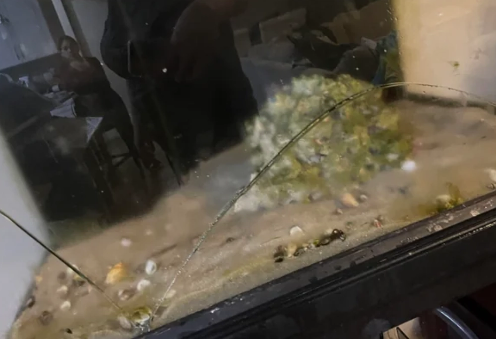 夢到魚缸破掉 夢到魚缸破掉