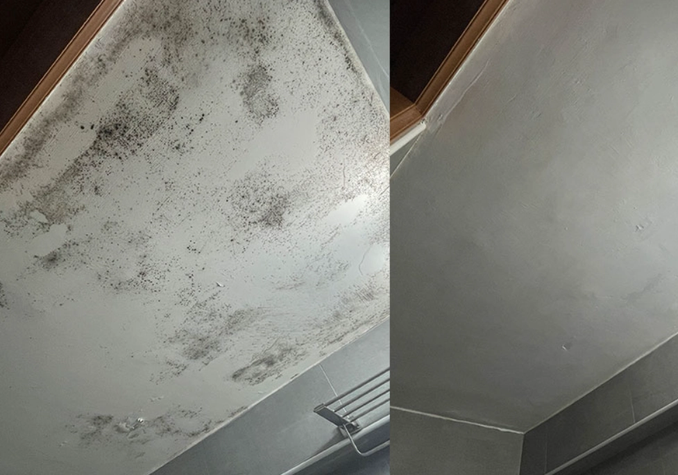 浴室天花板發霉漂白水