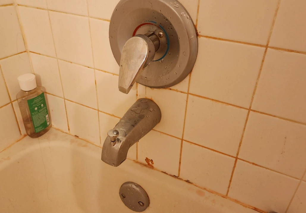 浴室紅色黴菌 浴室紅色黴菌