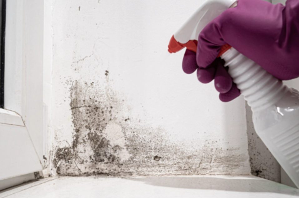 漂白水除霉牆壁