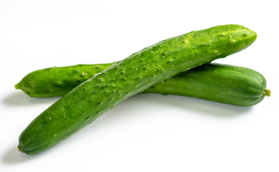 小黃瓜種植間距 小黃瓜種植間距