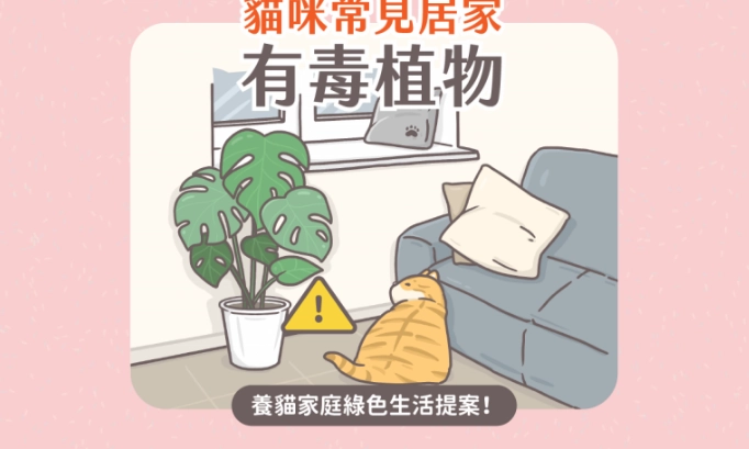對貓有害的植物