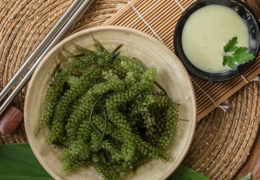 海葡萄食譜 海葡萄食譜