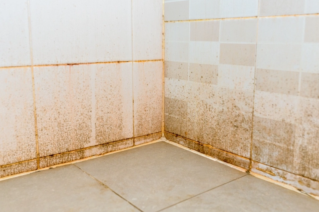 浴室紅色水垢 浴室紅色水垢