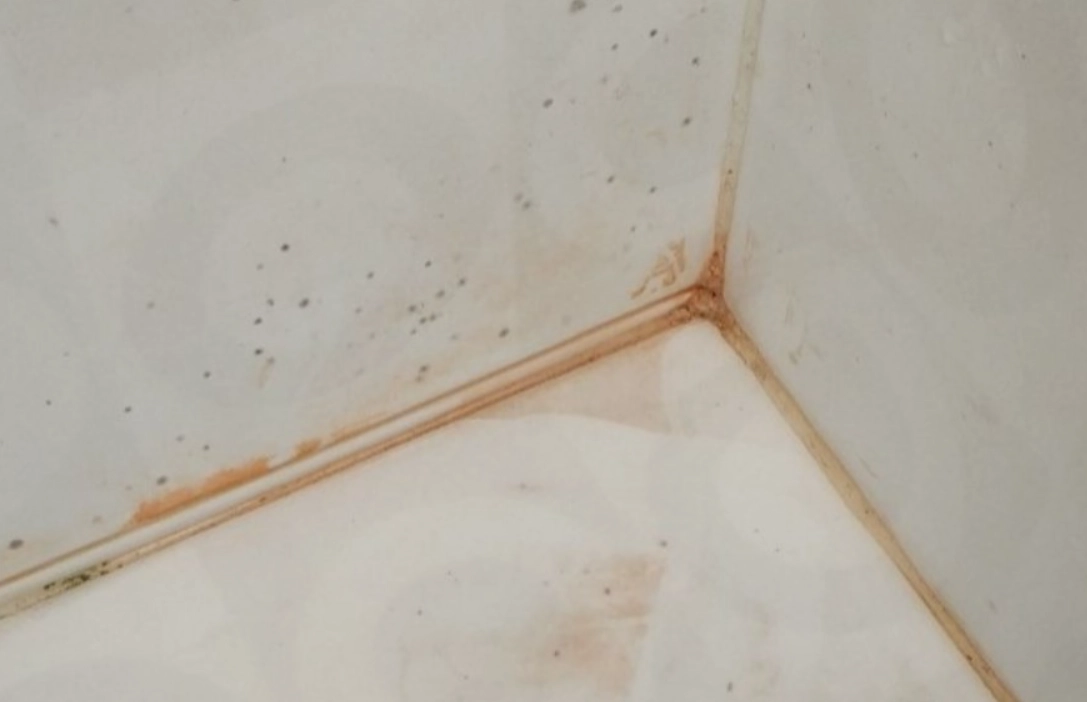 粉紅色黴菌預防 粉紅色黴菌預防