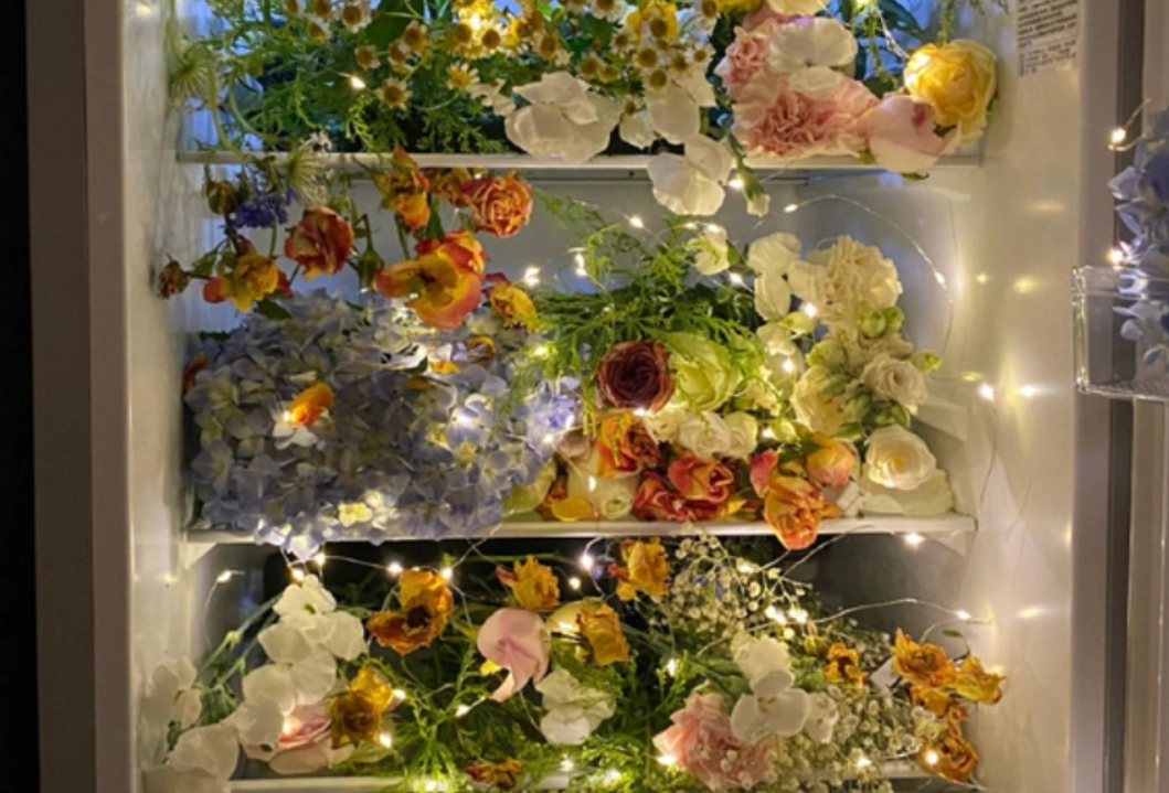 玫瑰花保鲜 玫瑰花保鲜