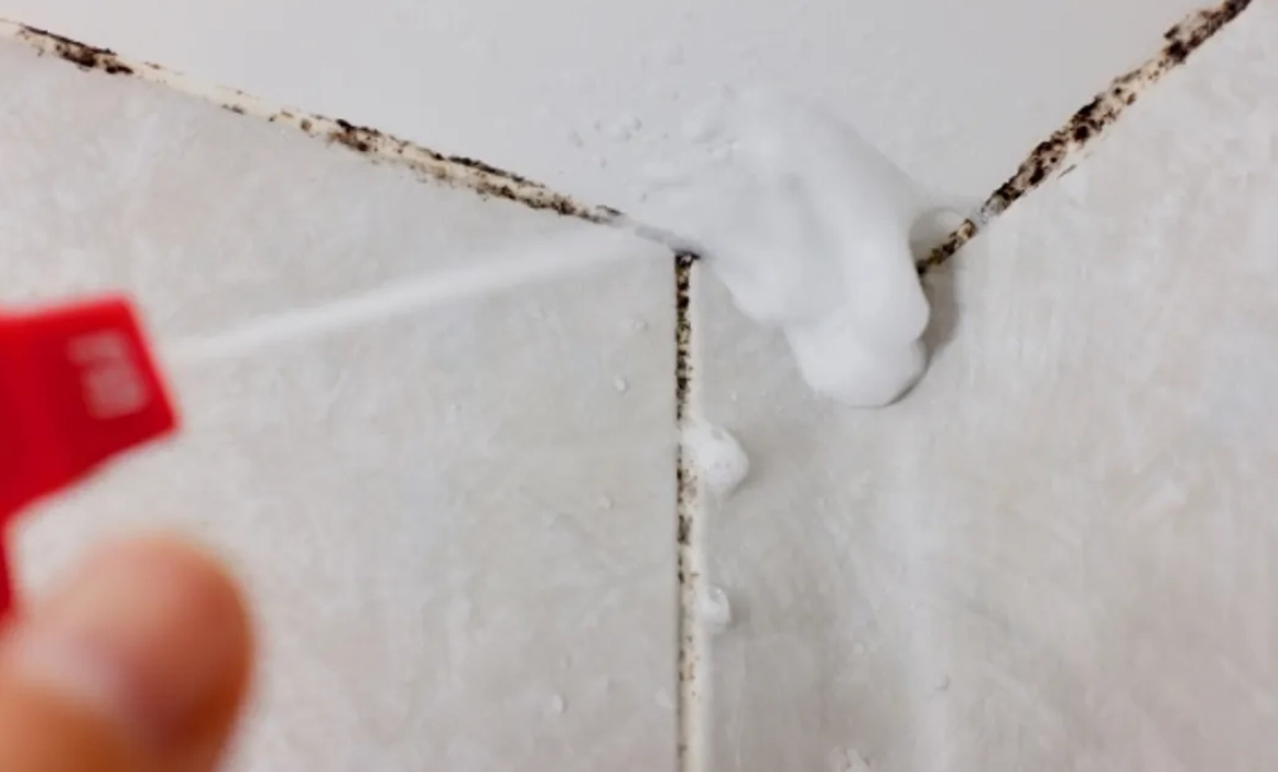 小蘇打除霉 小蘇打除霉