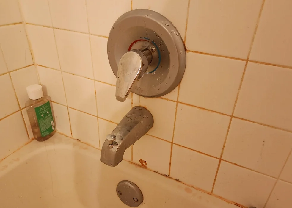 粉紅色黴菌預防 粉紅色黴菌預防