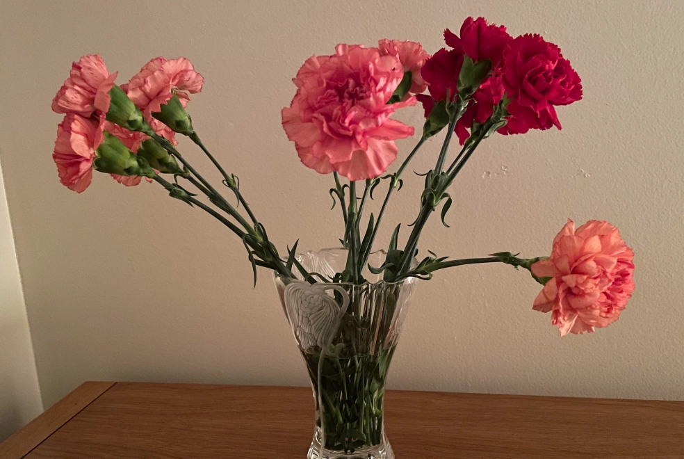 貓咪 花藝 貓咪 花藝