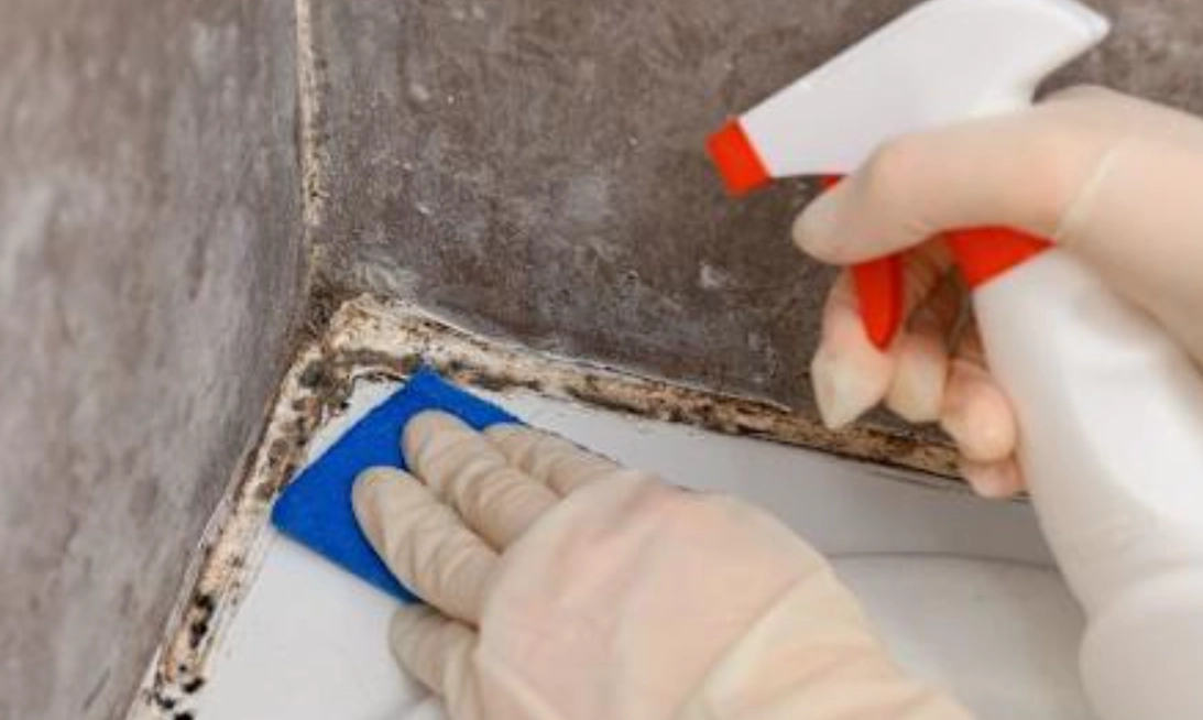 矽利康清潔 矽利康清潔