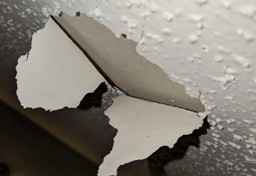 浴室天花板油漆剝落原因