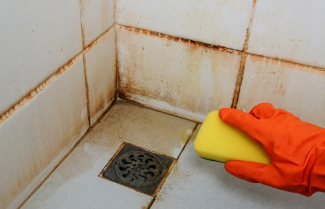 矽利康清潔 矽利康清潔