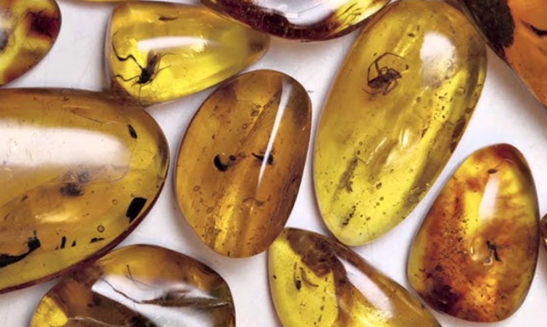 如何判斷琥珀價值