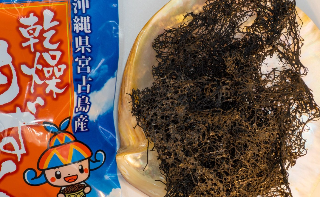 海蘊 入境 台灣