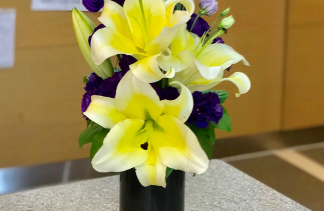 貓咪百合花中毒