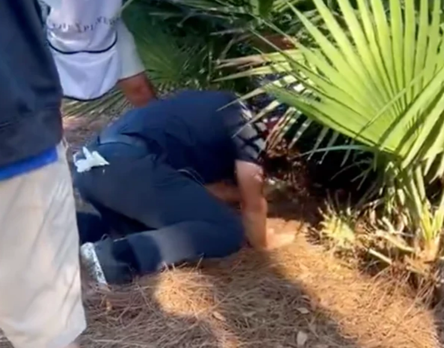 夢境解析 自我探索