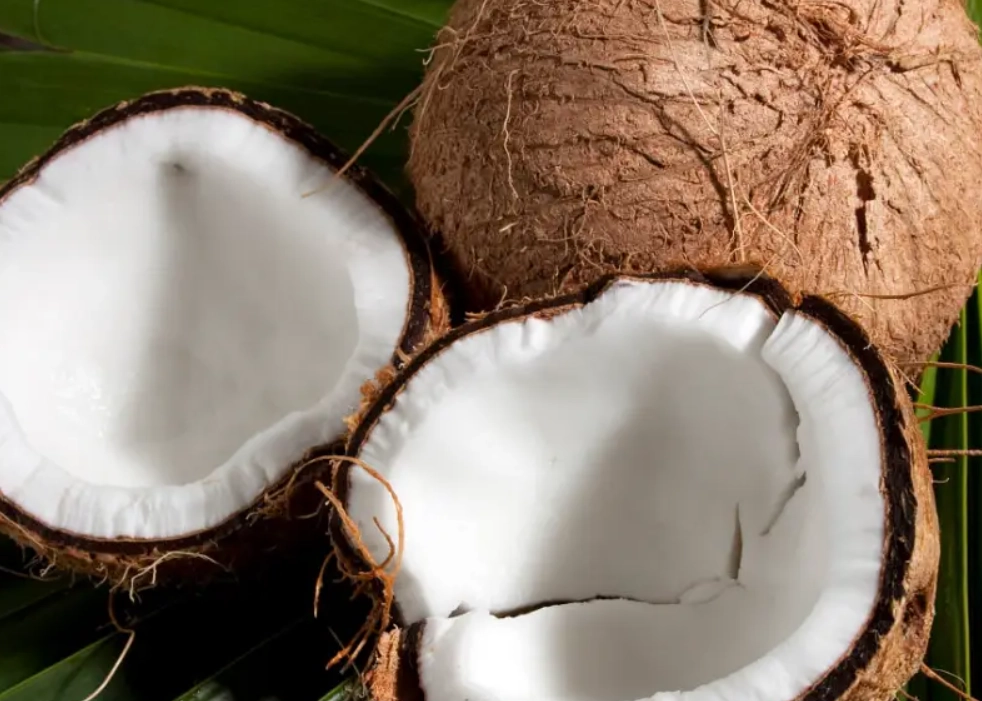 椰子肉營養