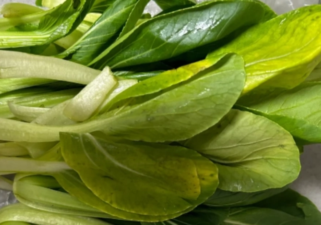 青菜變黃處理