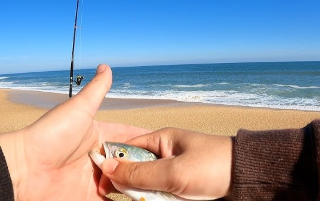 周公解夢魚咬手