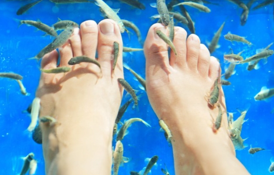 魚咬腳夢境意思