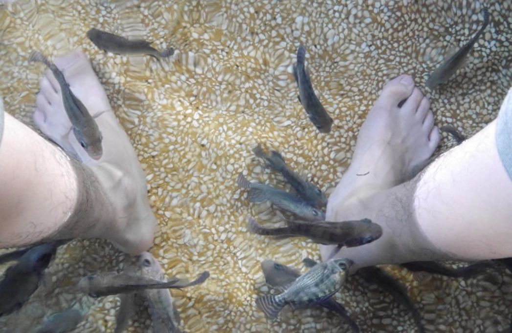 魚咬腳夢境意思