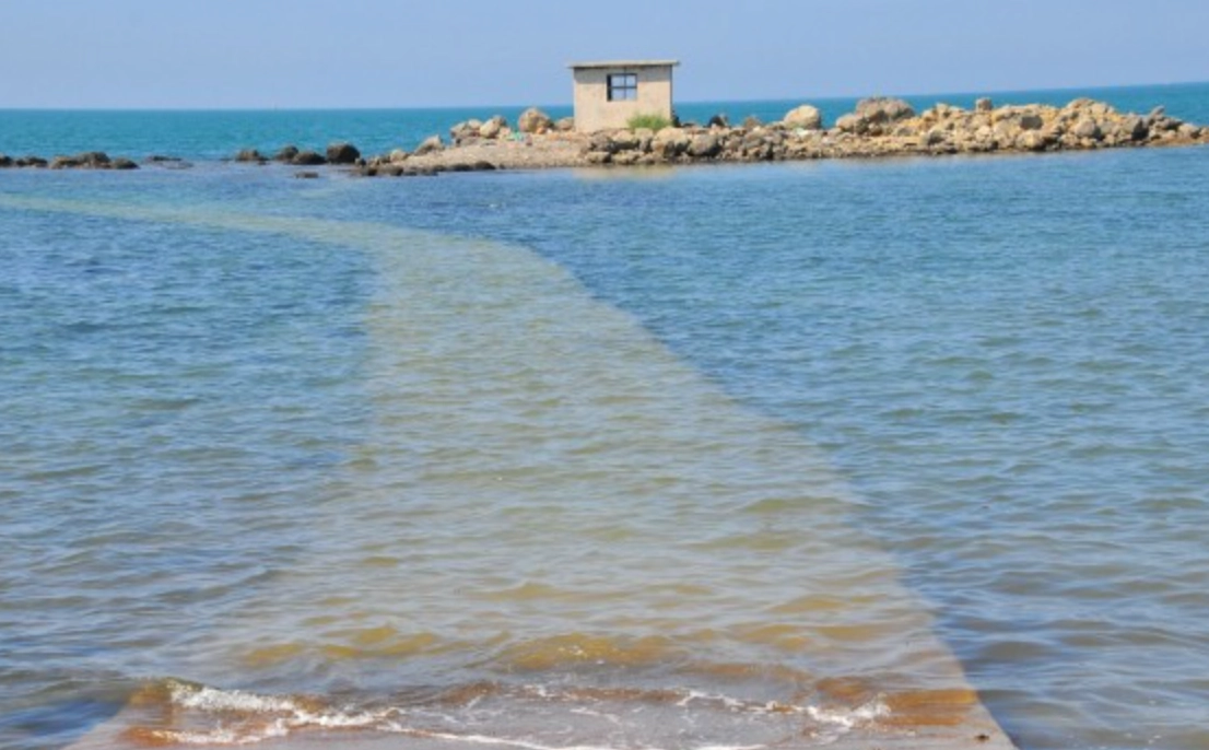 漲潮 夢境 解夢