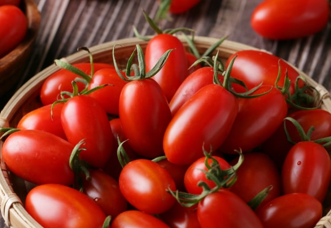 最好吃番茄