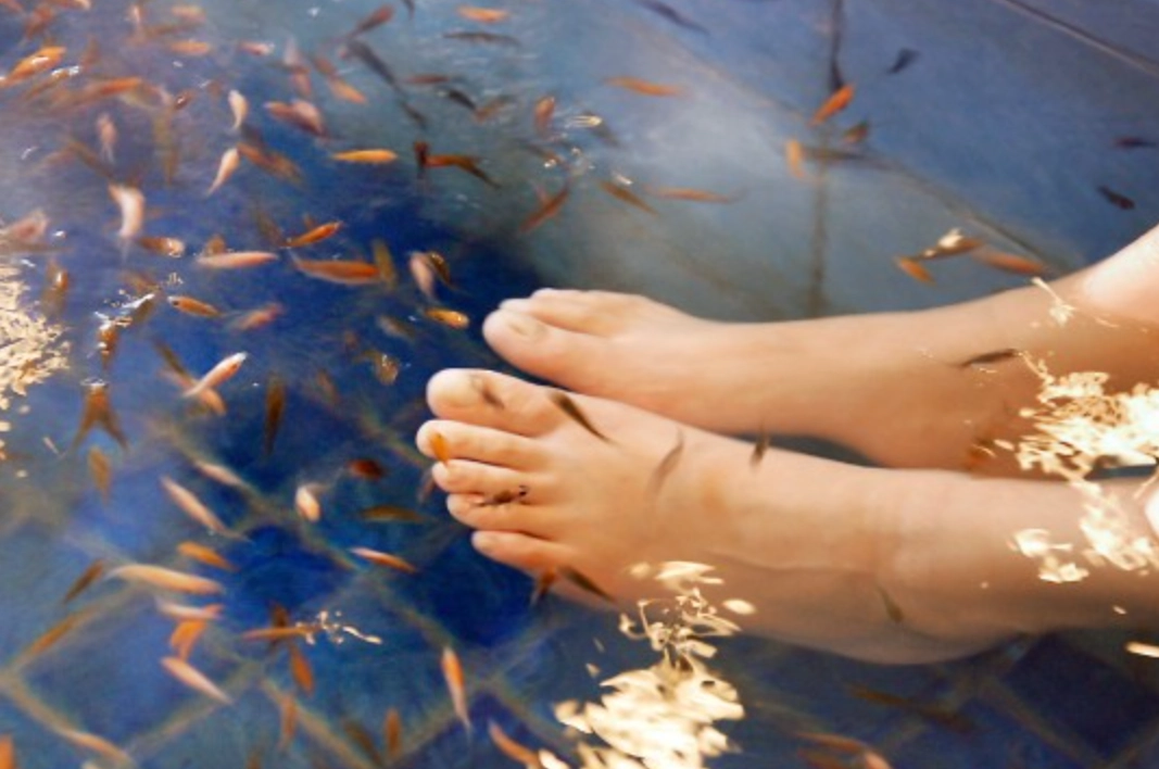 夢到被魚咬腳解析