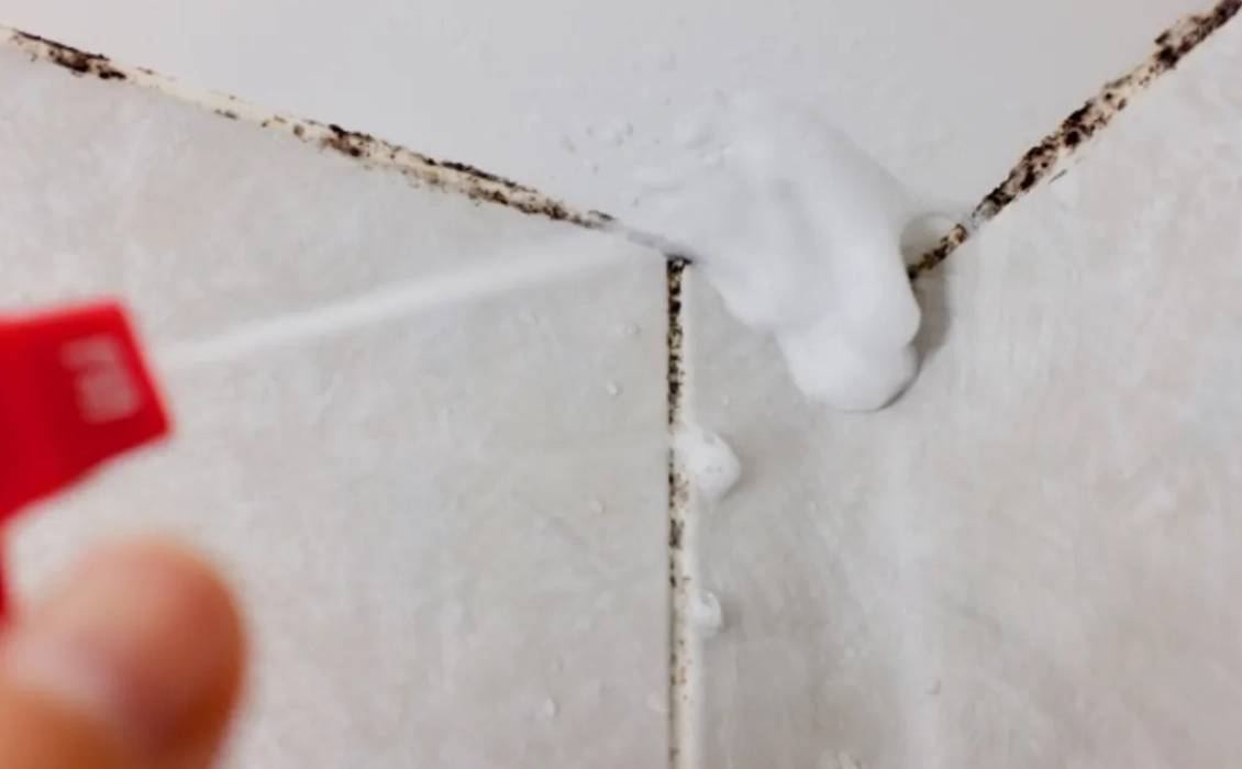 浴室磁磚發霉小蘇打 浴室磁磚發霉小蘇打