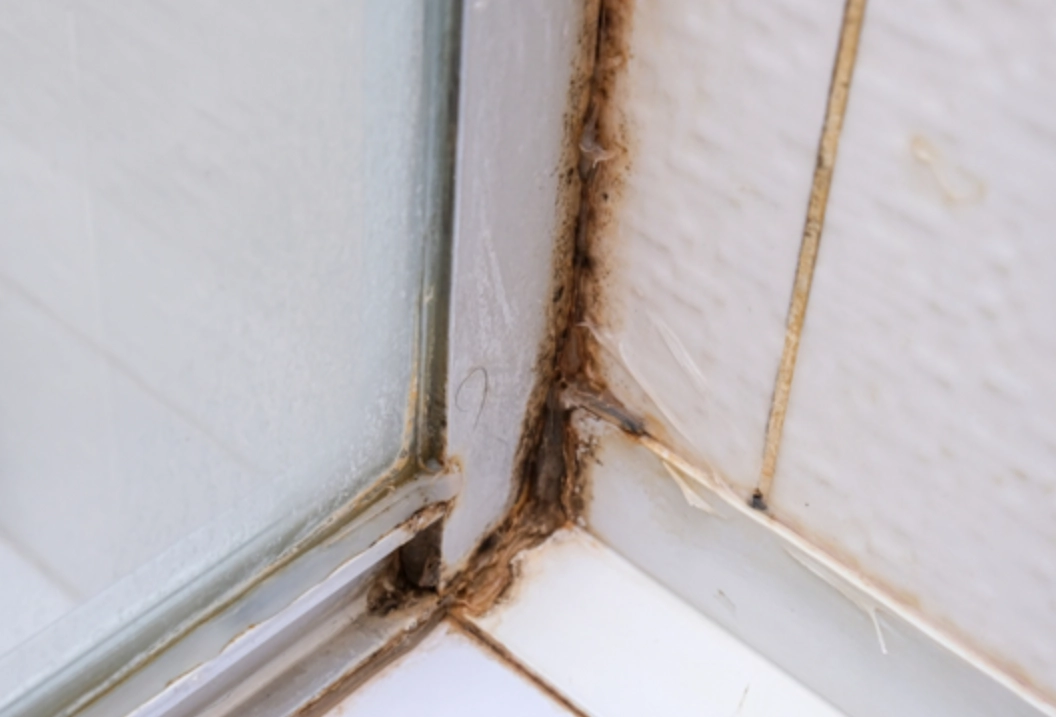 浴室膠條發霉漂白水